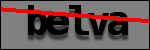Text per identificar